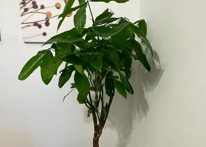 Apartament Lacasacentrale *