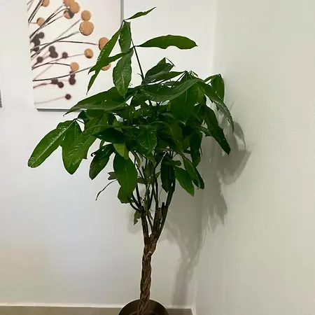 Apartamento Lacasacentrale *